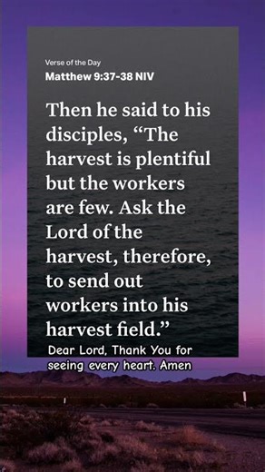 Matthew 9:37-38 - The Harvest Is Plentiful