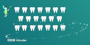 2.2K views · 14 reactions | The tooth fairy has much deeper pockets now than when we were kids... | BBC iWonder | Facebook