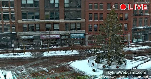 【LIVE】 Live Cam Portland - Monument Square Tree | SkylineWebcams