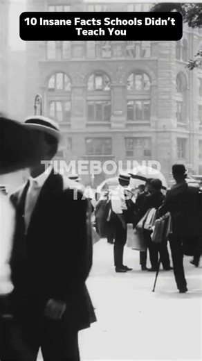 87K views · 2.7K reactions | 10 Insane Facts Schools Didn’t Teach You Some of the most insane facts were never taught in school. From animals with multiple hearts to planets where a day is longer than a year, these facts will change how you see the world. Follow the page for more mind-blowing facts like this. #DidYouKnow #MindBlown #FunFacts #HistoryAndScience #LearningSomethingNew | TimeBound Tales | Facebook