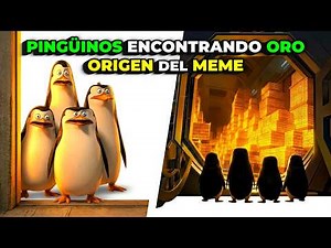 Penguins finding gold | Origin of the meme
