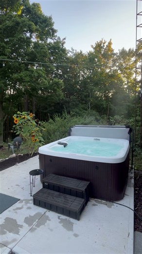 Lifesmart Ls450dx Plug-In Hottub