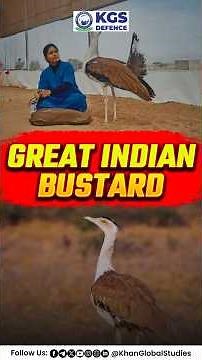 India’s Heaviest Flying Bird – The Great Indian Bustard Explained 📚 #greatindianbustard #kgsdefence