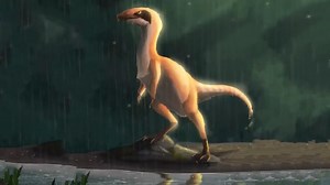 From fossil to feathers – how Sinosauropteryx rewrote prehistory