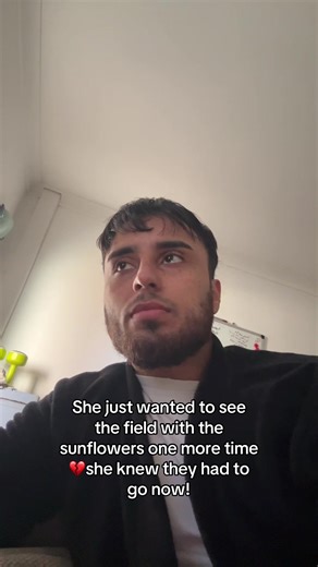 Final Episodes of Clannad – Emotions and Reflections