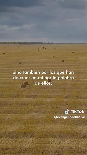 Jesús oró por ti: reflexión sobre «Ruego también por los que han de creer»