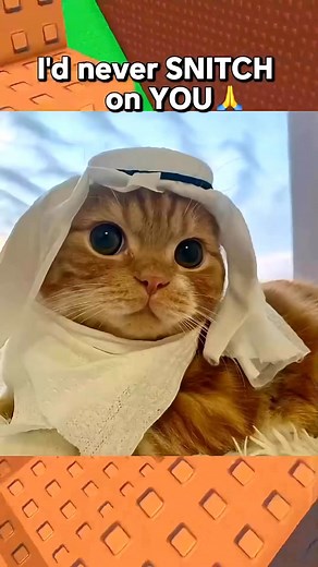 My rules part 3 😂😅 #comedyreels #rant #usa #roblox | Captain BLOX