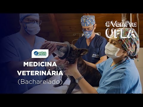 Medicina Veterinária na UFLA