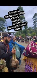 Bride price ceremony held in Lakamada village. Bride from southern Highlands grew up in Enga Lakamada village and Groom from Sopas Enga province Knots 26.12.2026�� | Welyn Wape