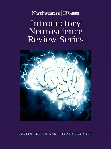 Labeled Line & Population Coding – Introductory Neuroscience Review Series