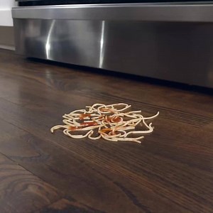 Not Enough Time In The Day For Clean Floors? Vacuum & Wash Your Floors In One Step, With This Cord-Free Hard Floor Cleaner! | Hoover Vacuums North America