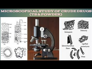 Microscopical and Powder Microscopical Study of Crude Drugs #microscopicstudyofcruddrugs