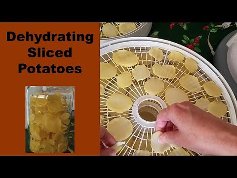 How to Dehydrate Sliced Potatoes | Dehydrating Sliced Russet Potatoes