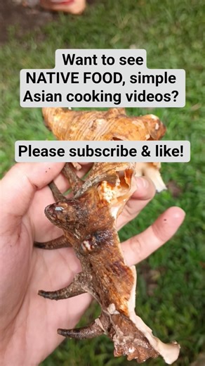 SEA MONSTER? But good for soups. #seashell