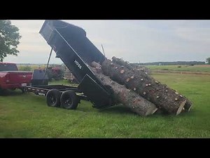 Watchdog Dump Trailer: 5 loads of firewood logs