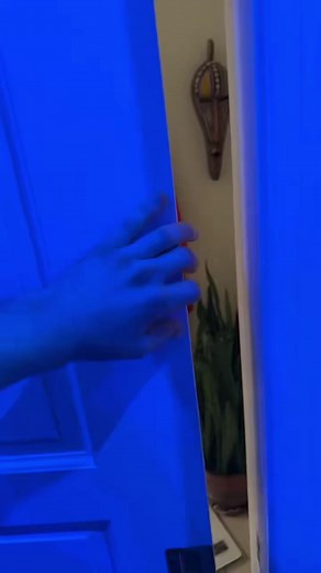 What is this bird thing?