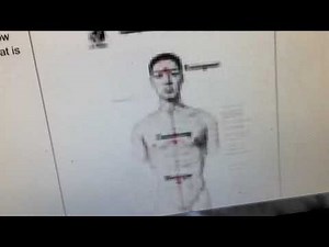 Idiot's Guide to Daoist Taoist Yoga Neidan Qigong Neigong Alchemy Meditation Kundalini Energy