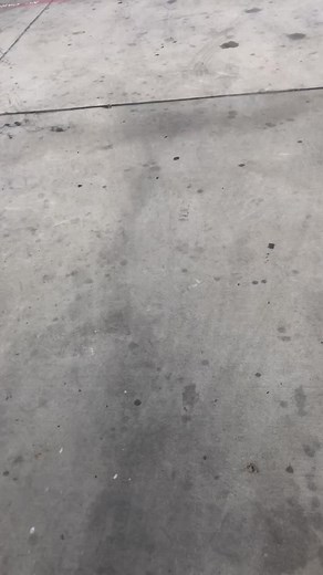 Monty Jackson (@montyjackson11)’s videos with Dang Dang Dang Dang - RULE NUMBER 1...