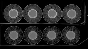 We X-Rayed Some MLB Baseballs. Here’s What We Found.