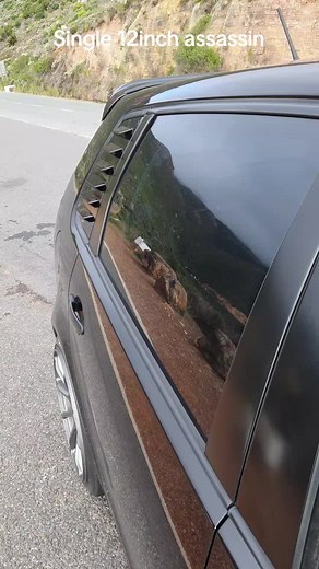 Single 12-Inch Assassin: Powerful Bass Experience