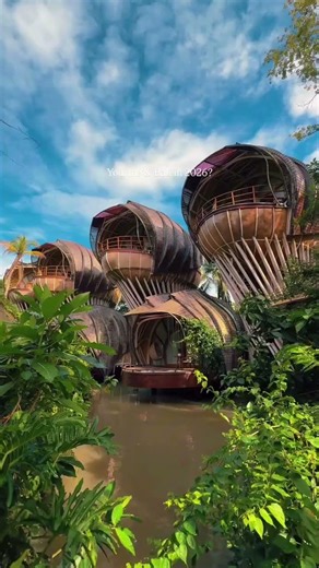 The beauty of Bali #bali #travel #travellife #travelvlog #couple