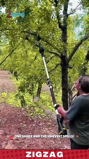 Genius Farming Tools for Fruit Harvesting Efficiently