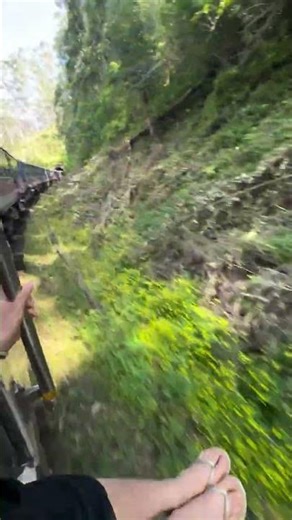 Hanging Out of the World’s Most Scenic Train Ride 🚆🌿 #TrainJourney #ScenicRide #POVTravel