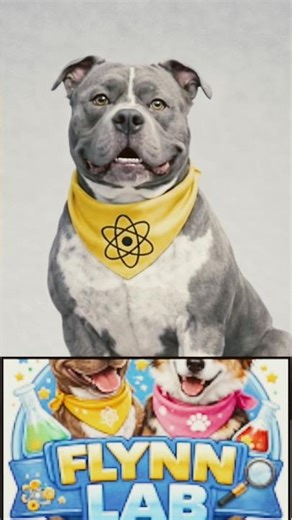 Speed = Distance ÷ Time 🚀 Explained for Kids!