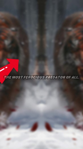 1.1M views · 10K reactions | Ferocious Predator #conspiracy #theory #history #myth #mysteri | Bones Skull | Facebook