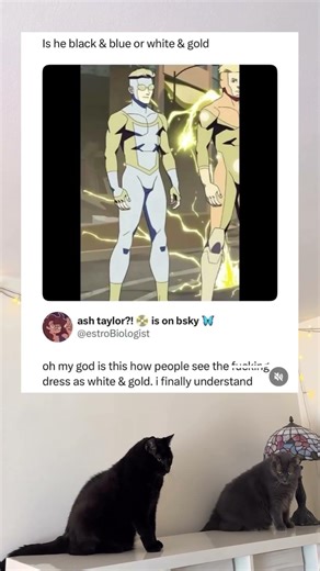 This Animated Character Finally Explained the White and Gold Dress to Everyone 👗