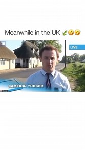 5.6K views · 87 reactions | meanwhile in the uk藍 | Girls and Weed | Facebook