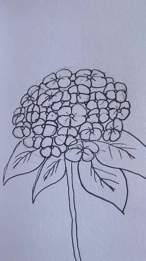 Easy Hydrangea Flower Drawing Tutorial
