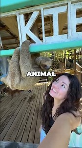 The Little Animal Scared the Girl 😯❤️