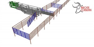 Bud Box options — Aurochs Consulting