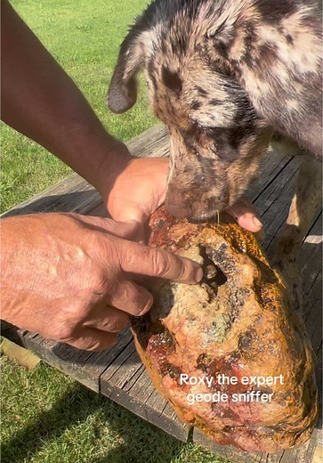 Opening a Geode Found in a Waterfall