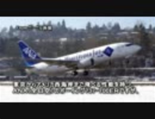 【迷・名?旅客機列伝】#4 ANA ボーイング737-700ER