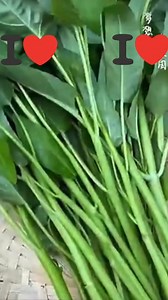 #gardening #plantsmakepeoplehappy #plantslover #plants #credittotherightfulownerofthisvideo | Barbara Ann Valdez