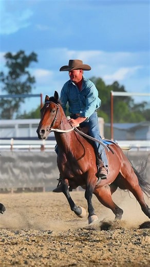 That’s how you show up in a final 🤝 #campdraft #campdrafting #finals #eventphotographer