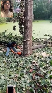 120K views · 45 reactions |  Technologies & Giant Machine  You Never See Before  | The world in your screen | Facebook