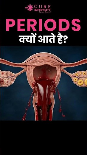 Periods क्यों आते है? | Menstrual Cycle Animation Explained | Dr. Rashmi Agrawal #menstrualhealth