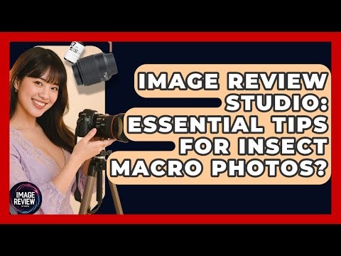 Image Review Studio: Essential Tips For Insect Macro Photos? - Image Review Studio