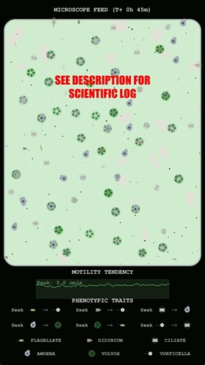 Kinetics of Sustained Flagellate Aggregation