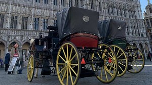 Adiós a los carruajes de caballos en esta ciudad europea: ¿llegará esta medida a España?