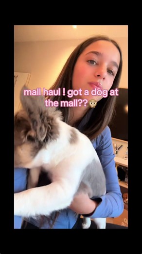 Cute Mall Haul with New Puppy Adventures