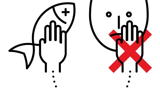 Main causes, treatments to food allergies