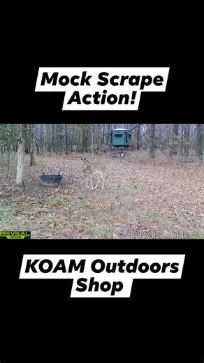KOAM Outdoors Shop LLC Mock Scrape Rope Action! #new #reels #mockscrape #deer #deerhunting | KOAM Outdoors LLC