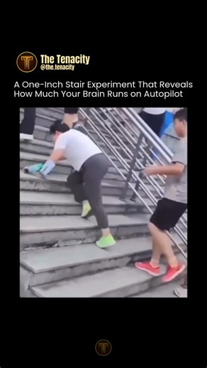 Tenacity | News | Facts | Wisdom on Instagram: "Engineers altered just one stair, raising it by a single inch. That tiny change was enough to disrupt people mid-step. When humans climb stairs, the brain doesn’t measure each step. It relies on muscle memory. Your body assumes every stair is identical and moves automatically, without conscious calculation. That extra inch breaks the rhythm. People hesitate, stumble, or lose balance because their brain is running on expectation, not awareness. The 