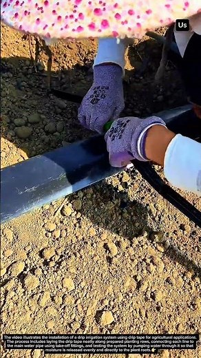 Drip Irrigation System Installation