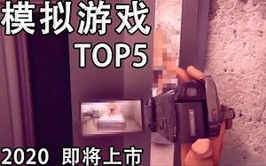 【2020模拟游戏top5】超有趣！在家欢乐一下吧！大玩家新资讯#8