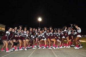 Cheerleader Uniforms Too Skimpy for School?